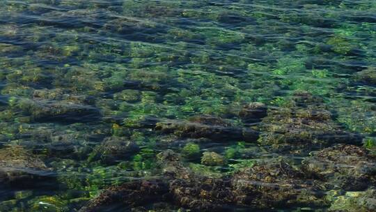 清澈见底的海水 珊瑚礁石沙子海藻海草视频素材模板下载