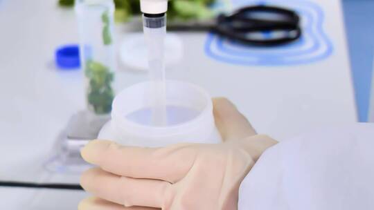 化验、实验、研究