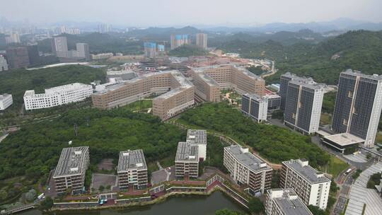 西丽大学城 南方科技大学