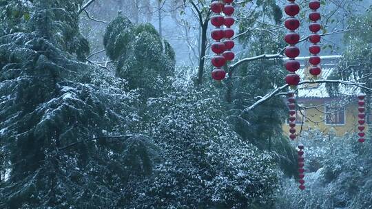 杭州上天竺法喜讲寺下雪天风景