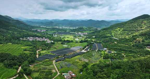 【正版素材】云浮市南药种植基地