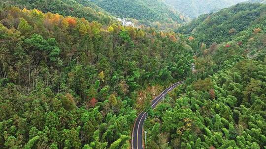 靖安隐仙谷山区23