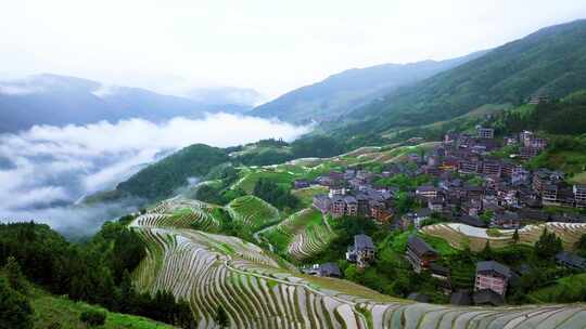 航拍广西桂林龙脊梯田高山云海壮丽风景