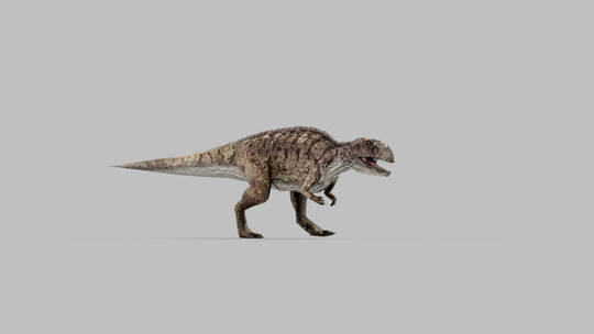 史前恐龙视频素材模板下载