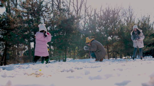 快乐家庭在雪地里玩耍视频素材模板下载