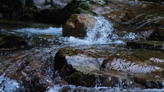 江南树林森林生态泉水溪水升格空镜