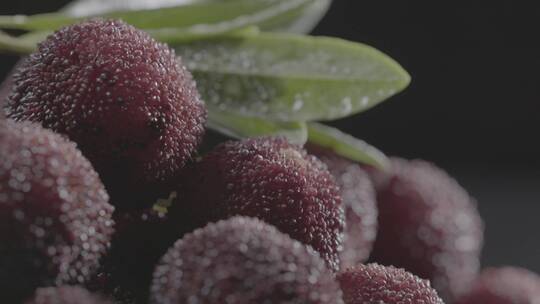 影棚实拍新鲜杨梅LOG