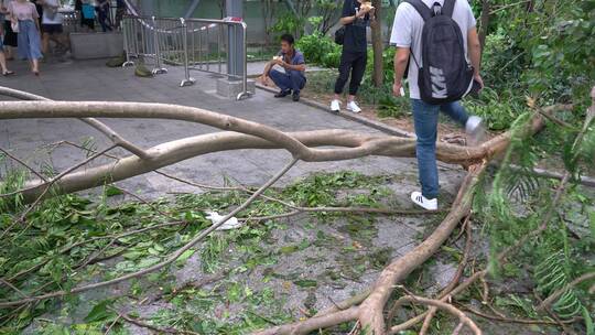 山竹 台风 台风山竹 中国沿海 沿海城市