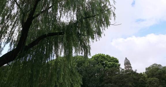 蓝天白云 古典园林虎丘一榭园 夏天古建筑