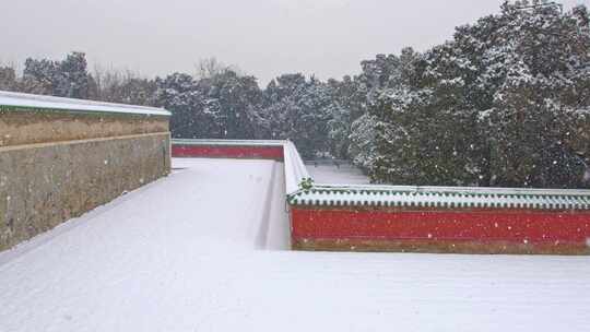 北京下雪中的故宫博物院