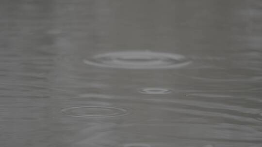 24节气 雨水