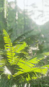 八月东南亚热带丛林