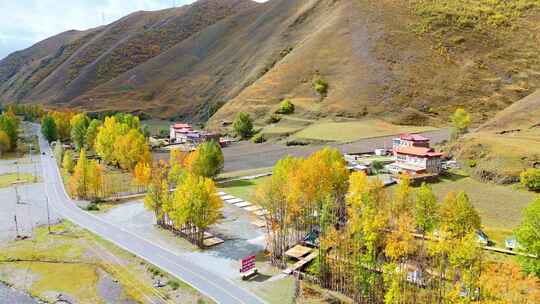 航拍四川川西新都桥鱼子西秋景彩林秋天