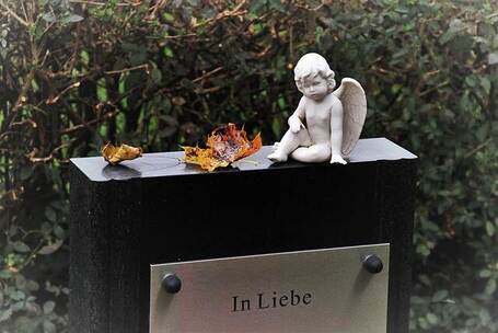 国会山离歌 悲伤 弦乐 独奏 梦境 电 国会山离歌 悲伤 弦乐 独奏 梦境 电