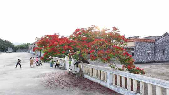 中国广东省江门市台山市冲蒌镇莲溪学校