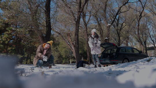 幸福情侣在雪地里玩耍视频素材模板下载