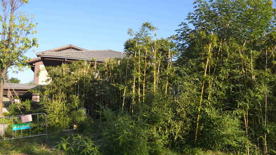 郊野公园 雄安郊野公园 雄安新区 郊野公园