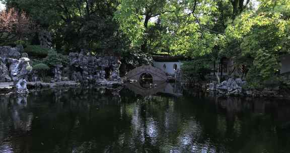 阳光绿植太湖石园林庭院水景特写 沉浸式