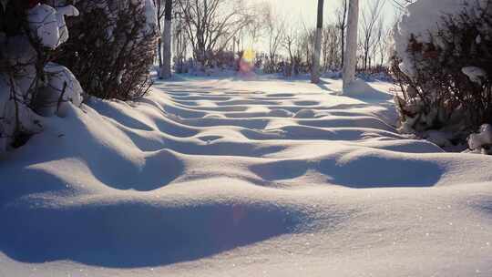 冬天雪地覆盖的公园步道