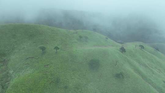 山川草原云海航拍云雾缭绕绿色山丘草地风光