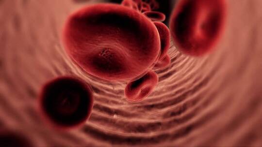 血管红细胞视频素材模板下载
