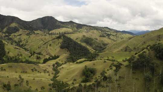 白天空中飞入美丽的可可拉山谷。哥伦比亚。视频素材模板下载