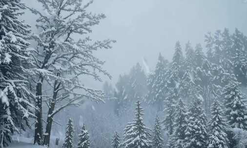 冬天唯美雪景 雪花飘落 (3)