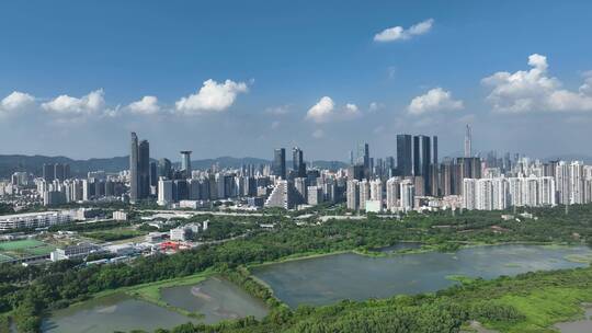 车公庙滨海深圳湾红树林