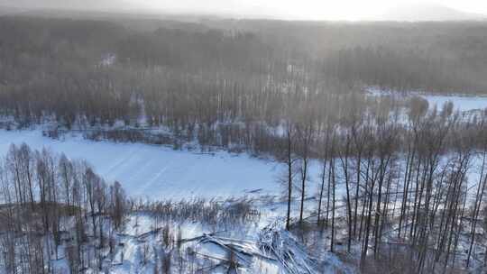 航拍冷空气笼罩的雪原树林