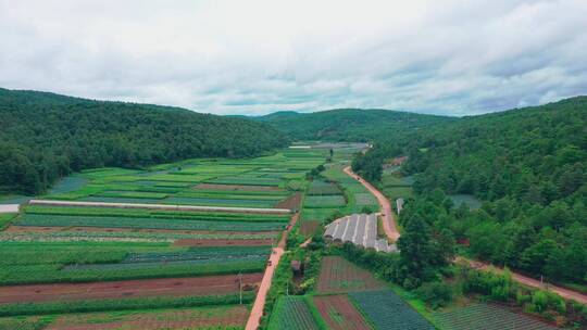 航拍乡村田园风光