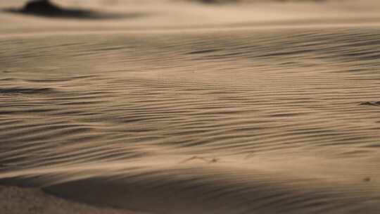 风吹过沙子波纹状的表面，带走沙粒。沙漠地区，沙尘暴