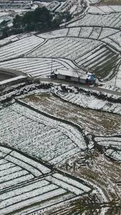 冬天农田雪景竖屏航拍