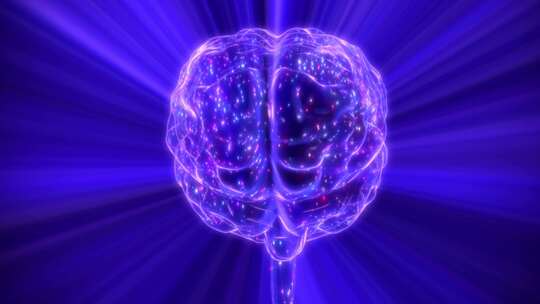 大脑脑电波大脑开发