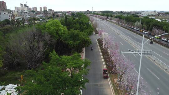 航拍城市风景 车流