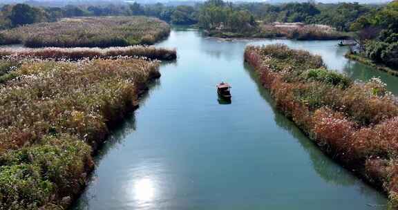 中国杭州西溪湿地秋日美景