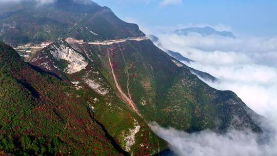 重庆巫山三峡红叶美景