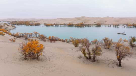 航拍秋天的新疆葫芦岛风景视频素材模板下载