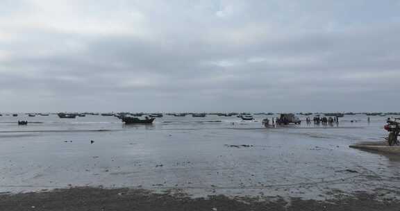 广东茂名电白区沙滩航拍