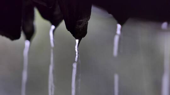 阴天瓦沿雨水滴落屋檐雨水降雨