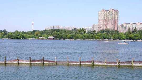 山东济南大明湖公园景区湖面景色与游船游客