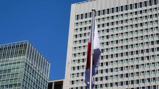 日本东京现代高层建筑背景的日本国旗