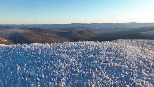 航拍寒冬林海雪原银装素裹