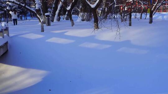 冬天公园老树小河雪景