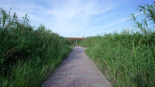 武汉江岸区汉口江滩风景