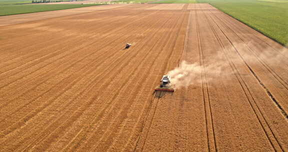 农业田间收割小麦2