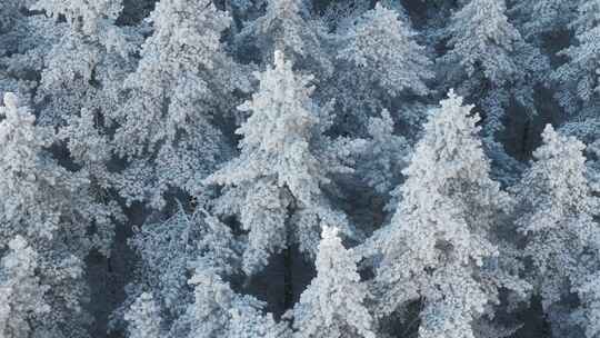 杭州临安太子尖华浪线森林雪景航拍