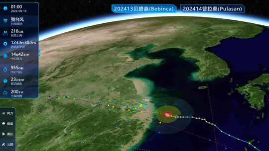 台风贝碧嘉登陆上海