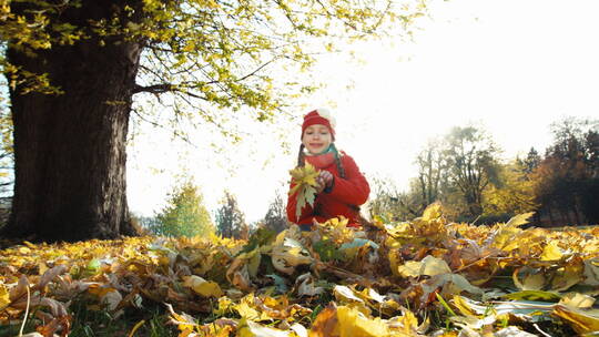 女孩在公园里收集秋叶