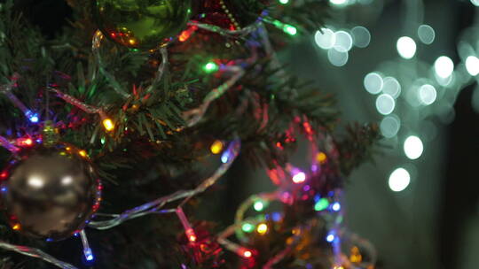圣诞节往圣诞树上挂装饰品
