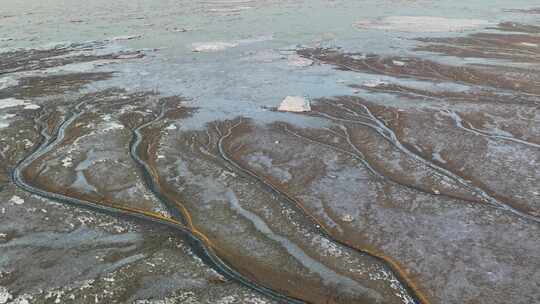 嘉兴海宁钱塘江冰雪潮汐树